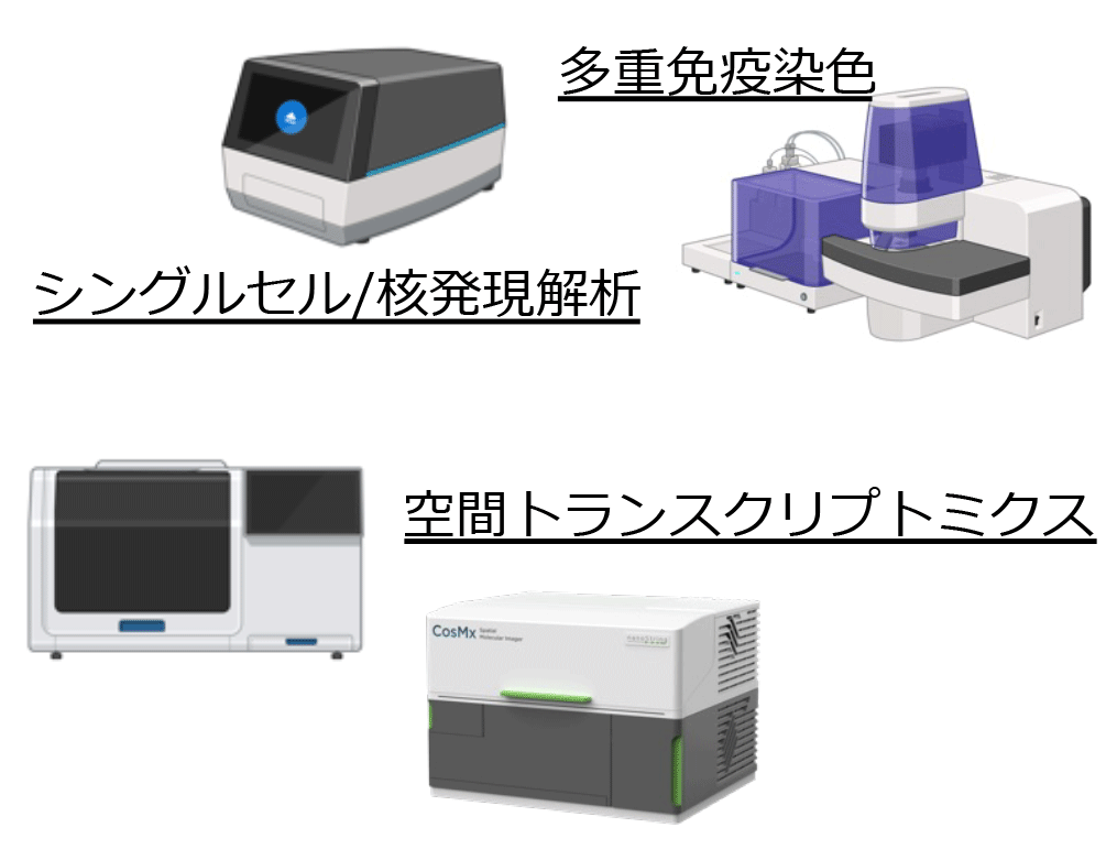 多層的オミクス解析で紐解くがん微小環境